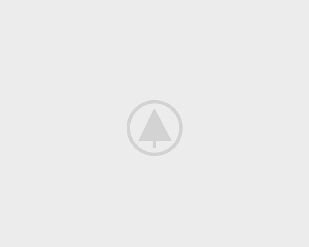 wood-gallery-placeholder-2