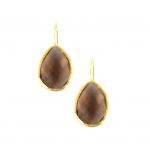 Brown Small Teardrop Earrings