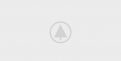 wood-gallery-placeholder-5