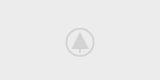 wood-gallery-placeholder-5 wood-gallery-placeholder-5