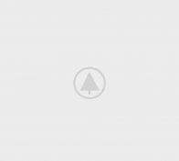 wood-gallery-placeholder-5 wood-gallery-placeholder-5