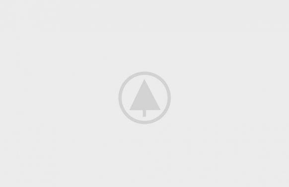 wood-gallery-placeholder-5 wood-gallery-placeholder-5